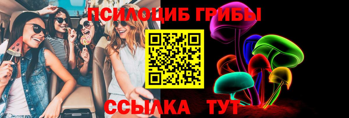 Королёв  Псилоцибиновые грибы мухоморы  Псилоцибиновые грибы ЛСД  Вход с VPN 